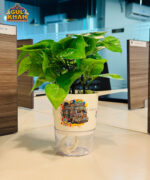 W11 Printed Self Watering Planter Pots