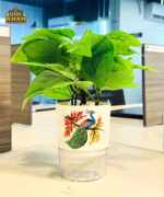 Peacock Printed Self Watering Planter Pots