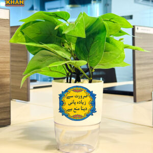 Self Watering Planter Pots