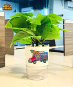 Truck Printed Self Watering Planter Pots