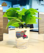 Truck Printed Self Watering Planter Pots - Image 2